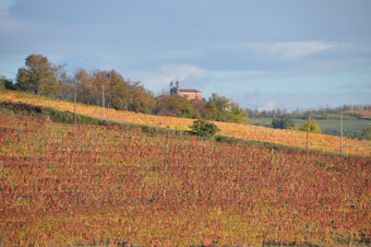 chiesa Surie
